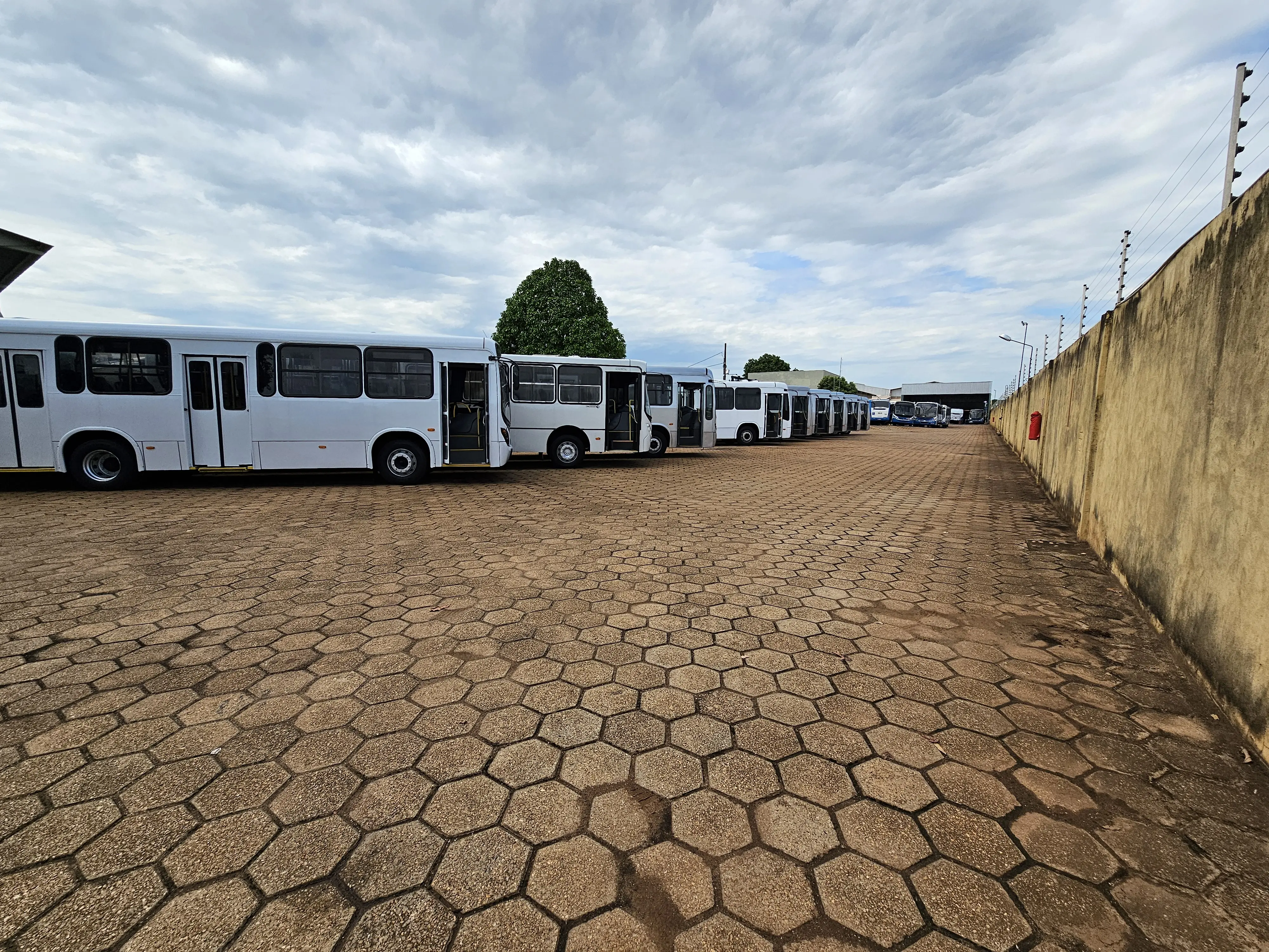 Entre em Contato: 63-99114-8098